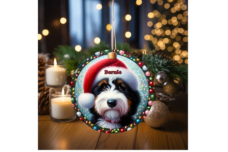 Sweet bernedoodle on his first Christmas with his personalized Santa hat on!
