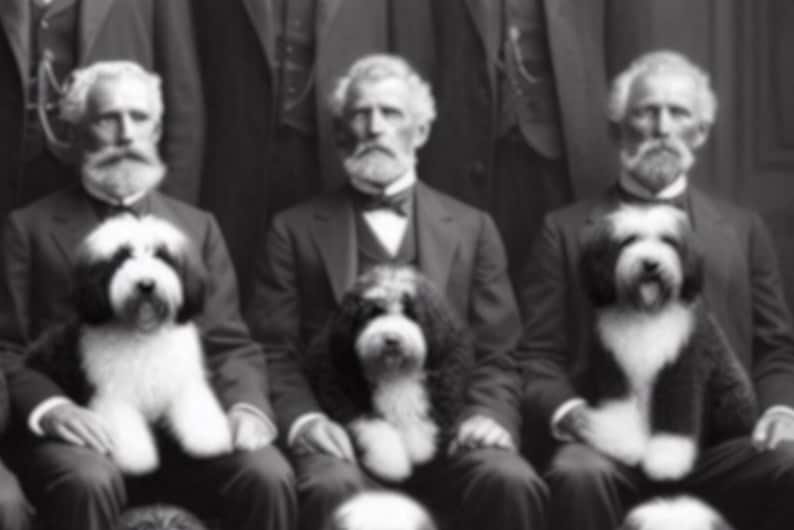 May include: A vintage black and white photograph featuring three men in suits, each holding a dog. The dogs have black and white fur. The men have white beards and are seated. The image has a classic, historical feel.