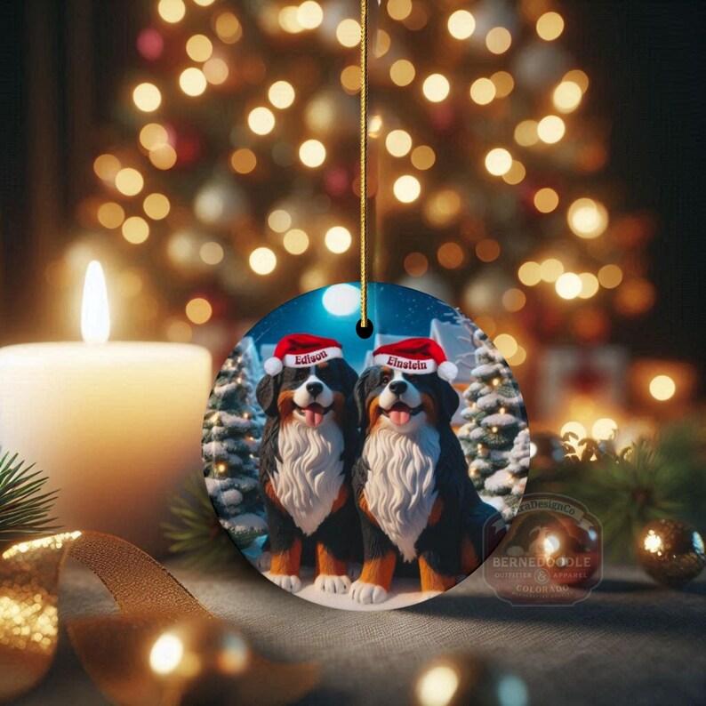 Op de afbeelding: Een ronde kerstversiering met twee Berner Sennenhonden met kerstmutsen. De honden hebben zwart, bruin en wit haar, met de namen "Edison" en "Einstein" op hun mutsen. De achtergrond toont een besneeuwde sc&egrave;ne en kerstverlichting.
