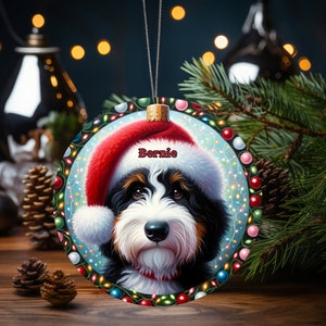 Sweet bernedoodle on his first Christmas with his personalized Santa hat on!
