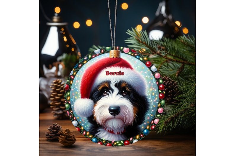 Sweet bernedoodle on his first Christmas with his personalized Santa hat on!