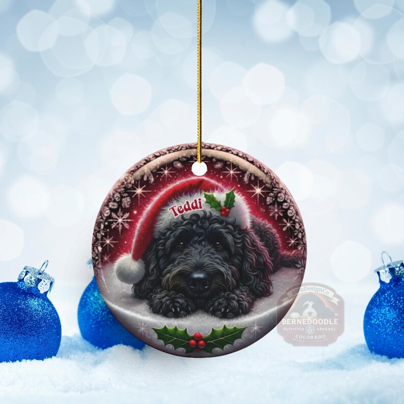May include: A round Christmas ornament featuring a black dog wearing a Santa hat with the name "Teddi" on it. The ornament has a red and white border with snowflakes and holly accents. The background is a winter scene with blue ornaments.