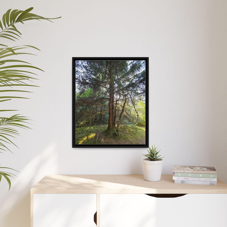 Alaskan Rainforest Framed Canvas Print: Nature Wall Decor image 6