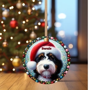 Sweet bernedoodle on his first Christmas with his personalized Santa hat on!