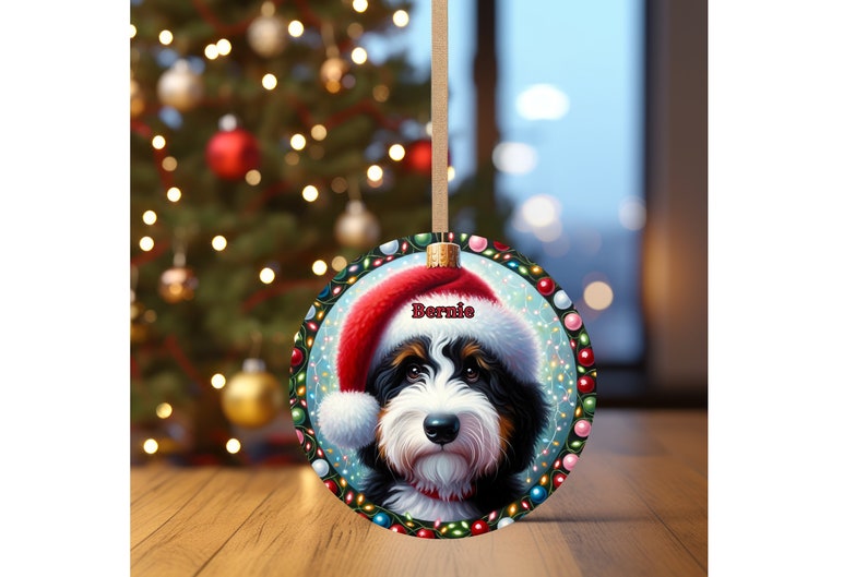 Sweet bernedoodle on his first Christmas with his personalized Santa hat on!