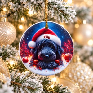 May include: A round ceramic Christmas ornament featuring a black dog wearing a red and white Santa hat. The name Tilly is printed in red on the hat brim. The background shows a snowy scene with red berries and ornaments, suspended by a gold cord.