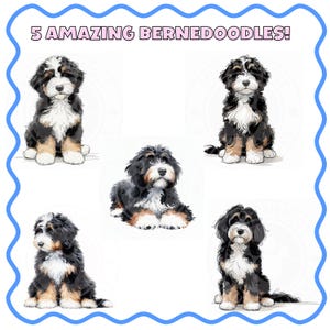 May include: An illustration featuring five Bernedoodle puppies in various poses. The puppies have black, white, and tan fur. The text "5 AMAZING BERNEDOODLES!" is at the top of the image, surrounded by a blue wavy border.