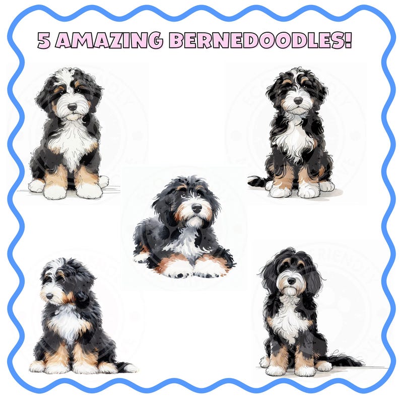 May include: An illustration featuring five Bernedoodle puppies in various poses. The puppies have black, white, and tan fur. The text "5 AMAZING BERNEDOODLES!" is at the top of the image, surrounded by a blue wavy border.