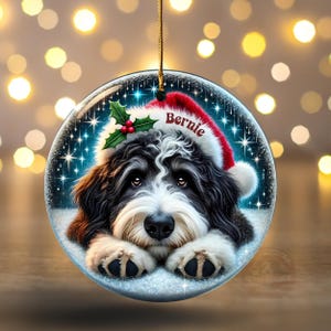 May include: Round Christmas ornament featuring a Bernedoodle dog wearing a Santa hat with the name "Bernie" on it. The dog is lying in snow, with holly and berries. The ornament hangs from a gold string.