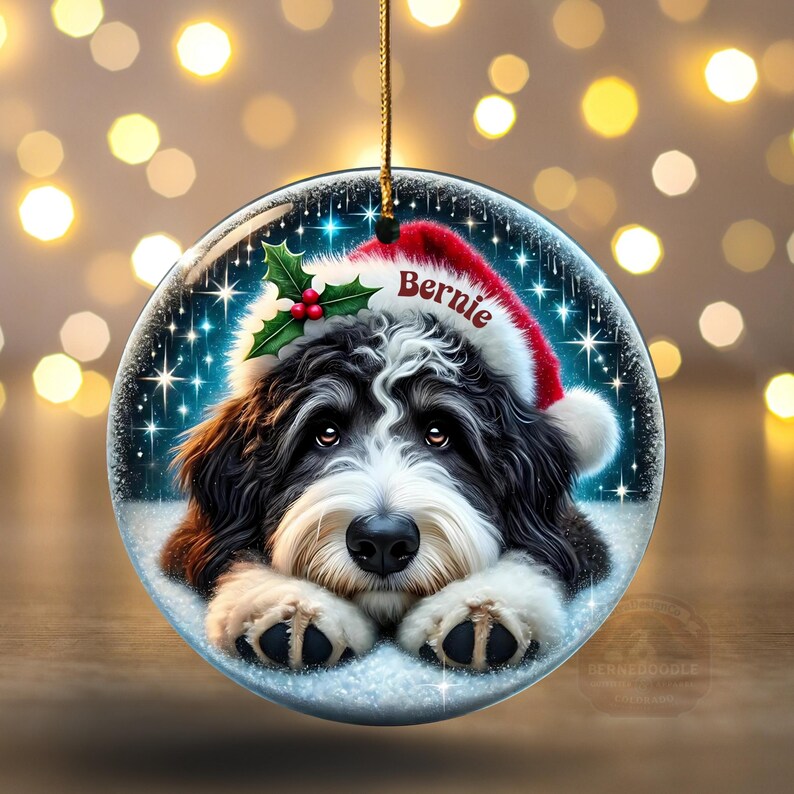 May include: Round Christmas ornament featuring a Bernedoodle dog wearing a Santa hat with the name "Bernie" on it. The dog is lying in snow, with holly and berries. The ornament hangs from a gold string.