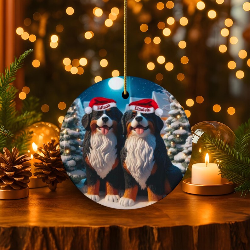 Op de afbeelding: Een ronde kerstversiering met twee Berner Sennenhonden met kerstmutsen. De honden worden afgebeeld in een winterse sc&egrave;ne met besneeuwde bomen. De namen "Edison" en "Einstein" staan op de mutsen. De versiering hangt aan een gouden draad.