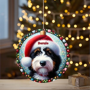 Sweet bernedoodle on his first Christmas with his personalized Santa hat on!