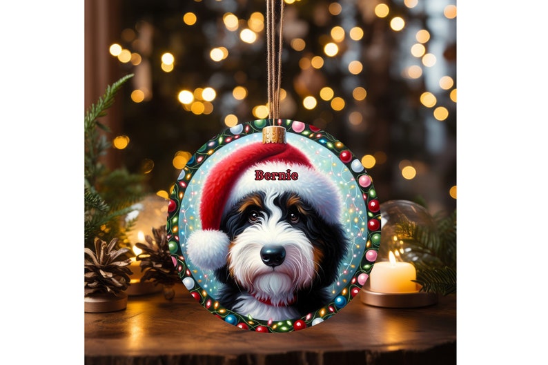 Sweet bernedoodle on his first Christmas with his personalized Santa hat on!