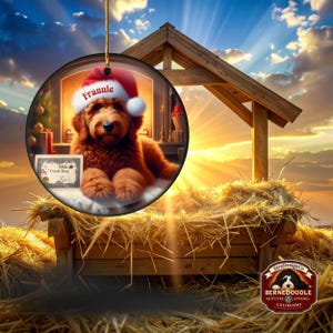 Pu&ograve; includere: Un ornamento natalizio rotondo con un cane marrone che indossa un cappello da Babbo Natale con il nome "Frannie". L'ornamento &egrave; ambientato in una scena di camino. Un piccolo cartello recita "Good Dog". Lo sfondo include una struttura in legno e fieno.
