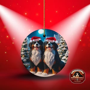 Op de afbeelding: Ronde kerstversiering met twee Bernedoodle honden met kerstmutsen met de namen "Edison" en "Einstein". De achtergrond toont een winterlandschap met besneeuwde bomen en een volle maan. De versiering hangt aan een gouden koord.