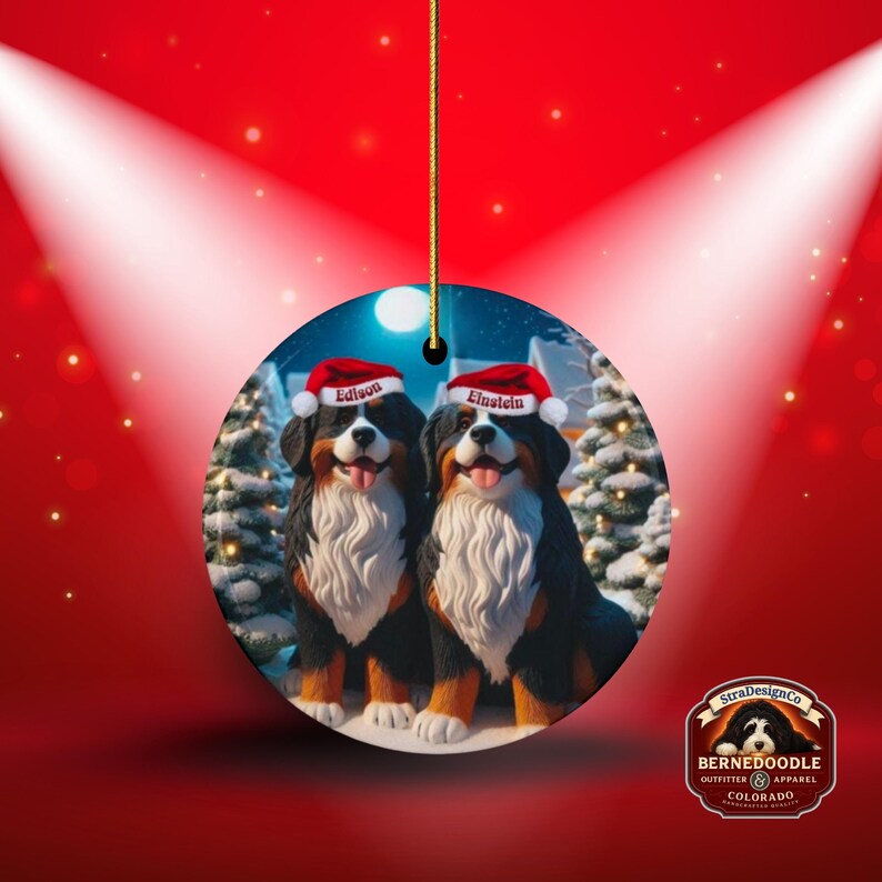 Op de afbeelding: Ronde kerstversiering met twee Bernedoodle honden met kerstmutsen met de namen "Edison" en "Einstein". De achtergrond toont een winterlandschap met besneeuwde bomen en een volle maan. De versiering hangt aan een gouden koord.