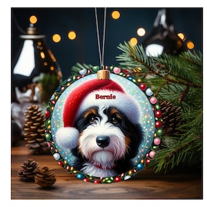 Sweet bernedoodle on his first Christmas with his personalized Santa hat on!