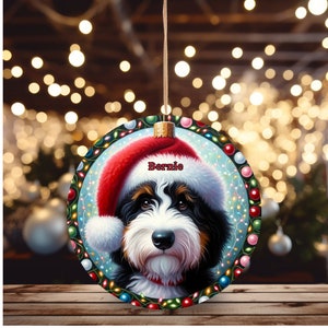 Sweet bernedoodle on his first Christmas with his personalized Santa hat on!