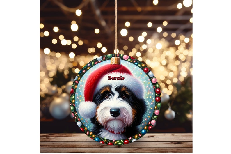Sweet bernedoodle on his first Christmas with his personalized Santa hat on!