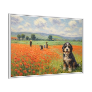 Bernedoodle Classic in un campo di papaveri - Tela incorniciata immagine 14