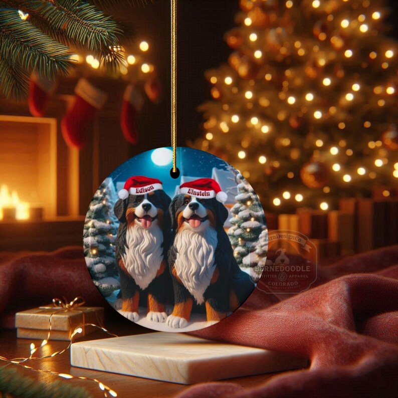 Op de afbeelding: Ronde kerstversiering met twee Berner Sennenhonden met kerstmutsen. De honden staan voor een besneeuwde bossc&egrave;ne onder een volle maan. De namen "Edison" en "Einstein" staan op de mutsen. De versiering hangt aan een gouden draad.