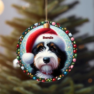 Sweet bernedoodle on his first Christmas with his personalized Santa hat on!