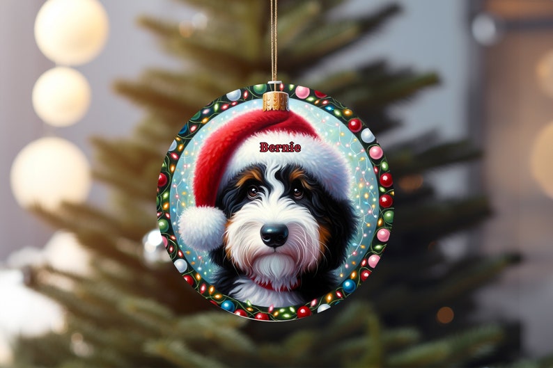 Sweet bernedoodle on his first Christmas with his personalized Santa hat on!
