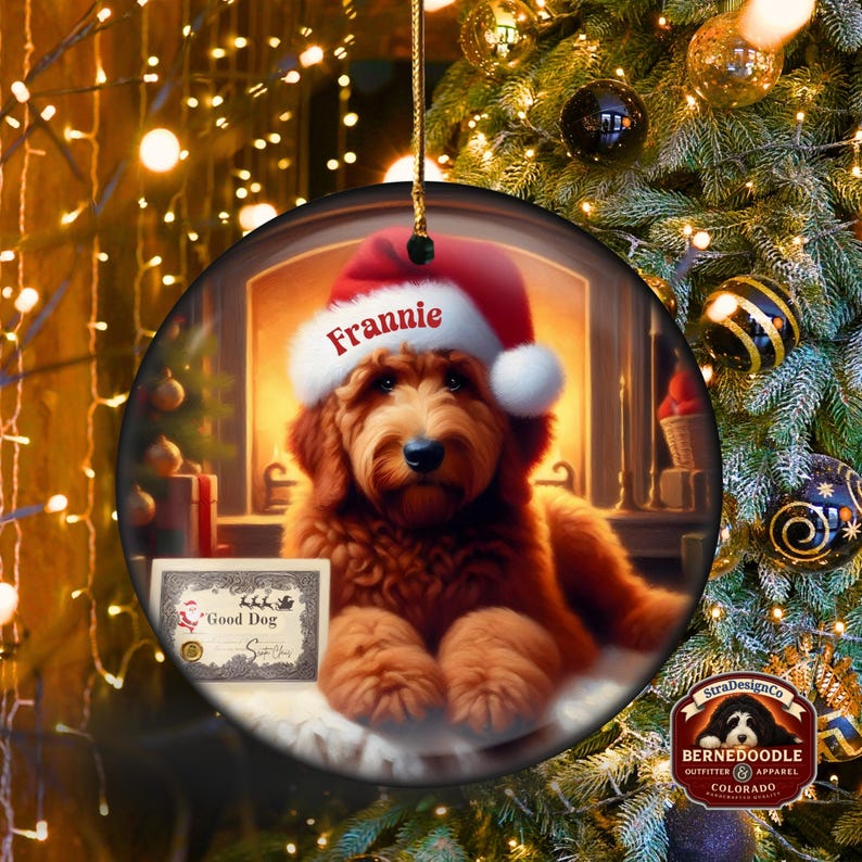 Pu&ograve; includere: Ornamento natalizio rotondo con un cane marrone che indossa un cappello da Babbo Natale con il nome "Frannie". L'ornamento ha un cordino dorato per appenderlo e un piccolo cartello con la scritta "Good Dog". Lo sfondo include un camino e un albero di Natale.