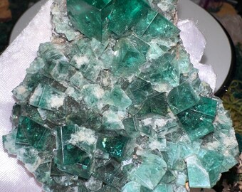 May include: A cluster of vibrant, emerald-green fluorite crystals. The crystals are cubic in shape and arranged in a complex, layered formation. The mineral specimen has a rough, textured surface with areas of white and gray.