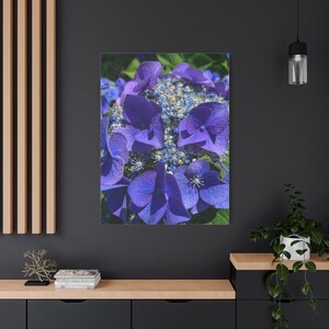 May include: A canvas print showcasing a close-up of blue hydrangea flowers. The flowers have large, textured petals and a cluster of small, light blue and yellow buds. The print is displayed on a dark grey wall, adding a touch of nature.