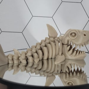 May include: A 3D printed model of a shark skeleton with a detailed skull and open mouth. The model is beige and is sitting on a reflective surface.