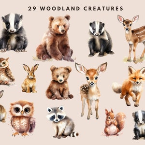 Watercolor Forest Clipart: Baby Animals, Nursery / Birthday Art (PNG Digital Download) image 2
