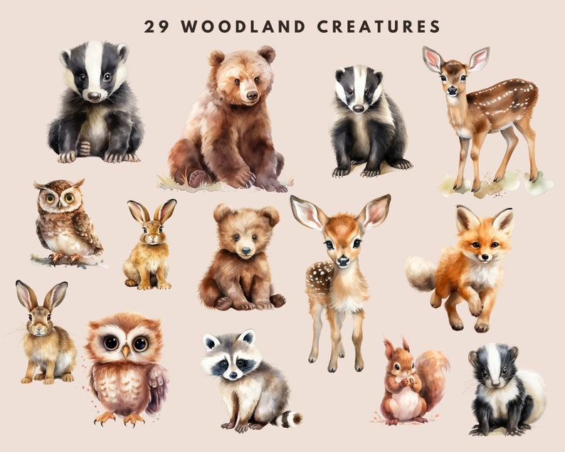 Watercolor Forest Clipart: Baby Animals, Nursery / Birthday Art (PNG Digital Download) image 2