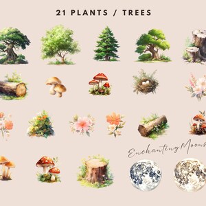 Watercolor Forest Clipart: Baby Animals, Nursery / Birthday Art (PNG Digital Download) image 4