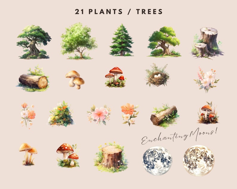 Watercolor Forest Clipart: Baby Animals, Nursery / Birthday Art (PNG Digital Download) image 4