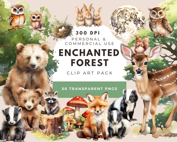 Watercolor Forest Clipart: Baby Animals, Nursery / Birthday Art (PNG Digital Download)