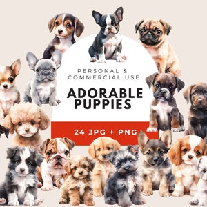 Clipart chiot, téléchargement immédiat, usage commercial, chien Png, sublimation chiot, clipart chiot, chiot Png, clipart chien, bouledogue français, Cavapoo