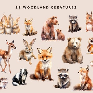 Watercolor Forest Clipart: Baby Animals, Nursery / Birthday Art (PNG Digital Download) image 3