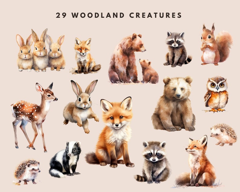 Watercolor Forest Clipart: Baby Animals, Nursery / Birthday Art (PNG Digital Download) image 3