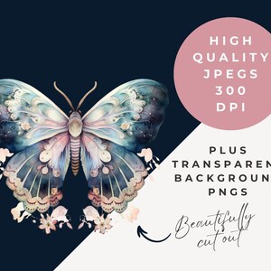 May include: A watercolor illustration of a blue and pink butterfly with intricate details. The butterfly is surrounded by delicate white flowers.
