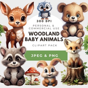 Woodland Baby Shower Clipart, Kinderzimmer Dekoration, Niedliche Baby Tiere, Kleiner Baby Bär, Waldtiere Clip Art, Bär Fuchs Eule, Woodland Png
