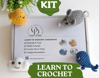 Crochet Amigurumi Starter Kit: Beginner Craft Hobby