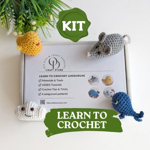 Crochet Kit / DIY Crochet Kit Dishcloth Kit / Simple Crochet