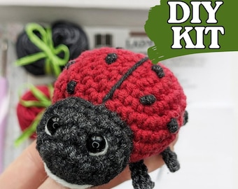 DIY Crochet Amigurumi Ladybug Kit: Beginner-Friendly Craft Project