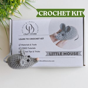 Beginner Crochet Kit Dinosaurs Learn How to Crochet Kit Easy Starter  Crochet Kit Amigurumi Kit DIY Craft Kit Gift 