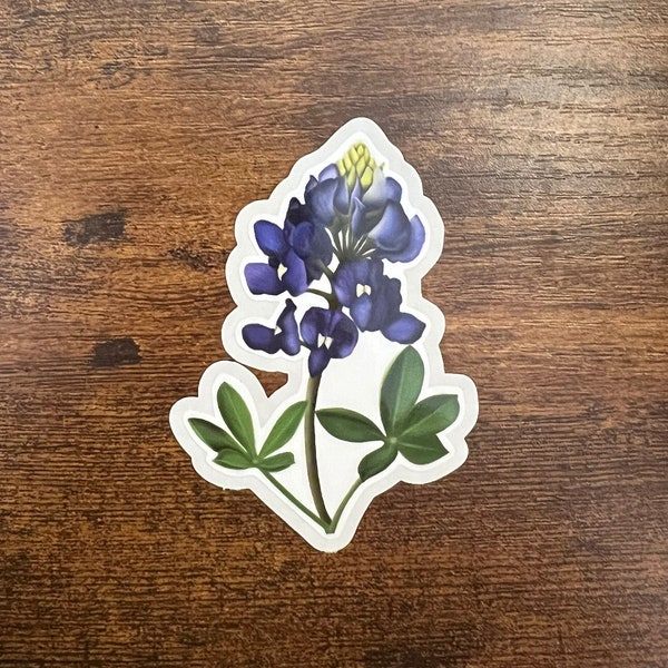 Bluebonnet Flower Sticker, Texas Bluebonnet Sticker, Flower Sticker, Spring Flower Sticker, Sticker