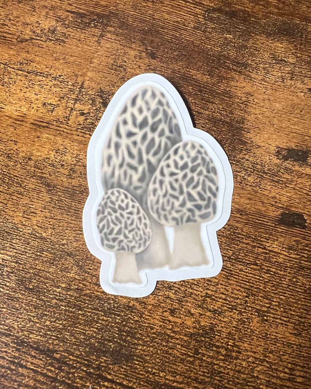 Morel Mushrooms Sticker Mushroom Sticker Morel Morels Etsy