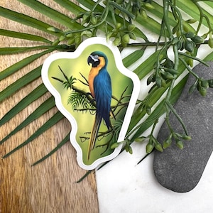 Vibrant Macaw Parrot Sticker: Exotic Bird Sticker