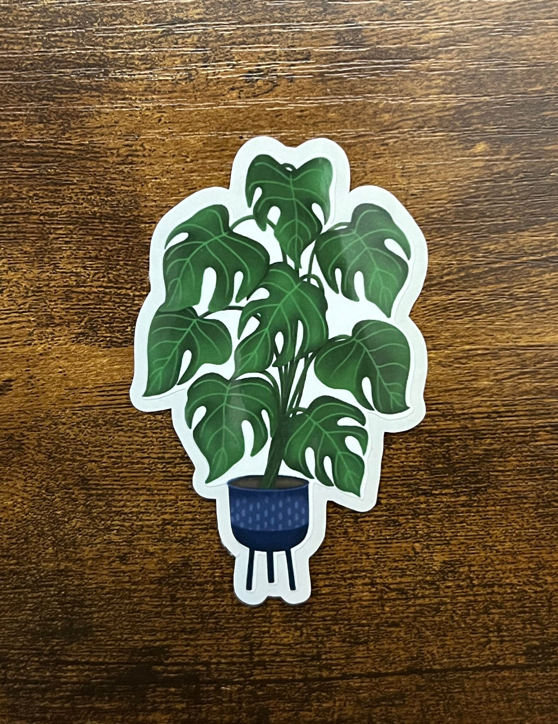 Monstera Plant Sticker, Monstera Sticker, Monstera, Monstera Plant ...