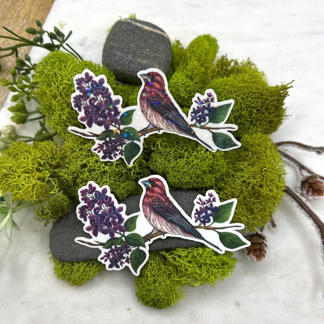 Purple Lilac Flowers and Purple Finch Bird Watercolor Art Sticker, New ...